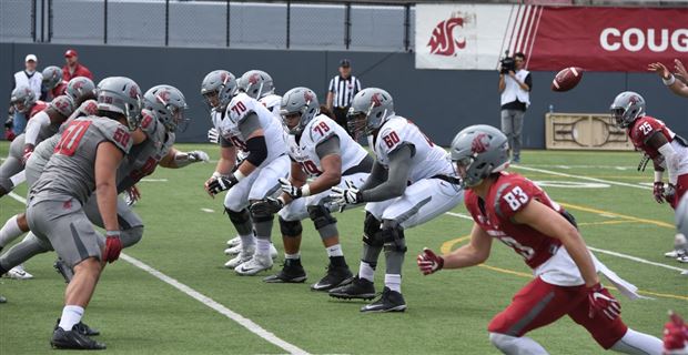 reason for wsu crimson gray color reason for wsu crimson gray color