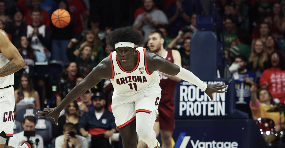 11 former Arizona Wildcats men's basketball players to compete in