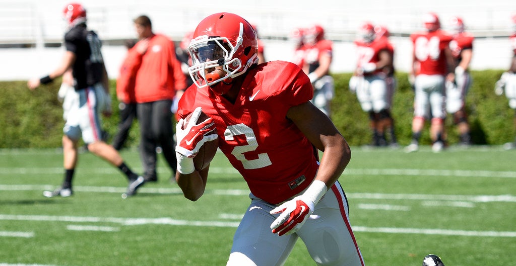 Atlanta Falcons Sign Former Georgia Bulldog Jayson Stanley