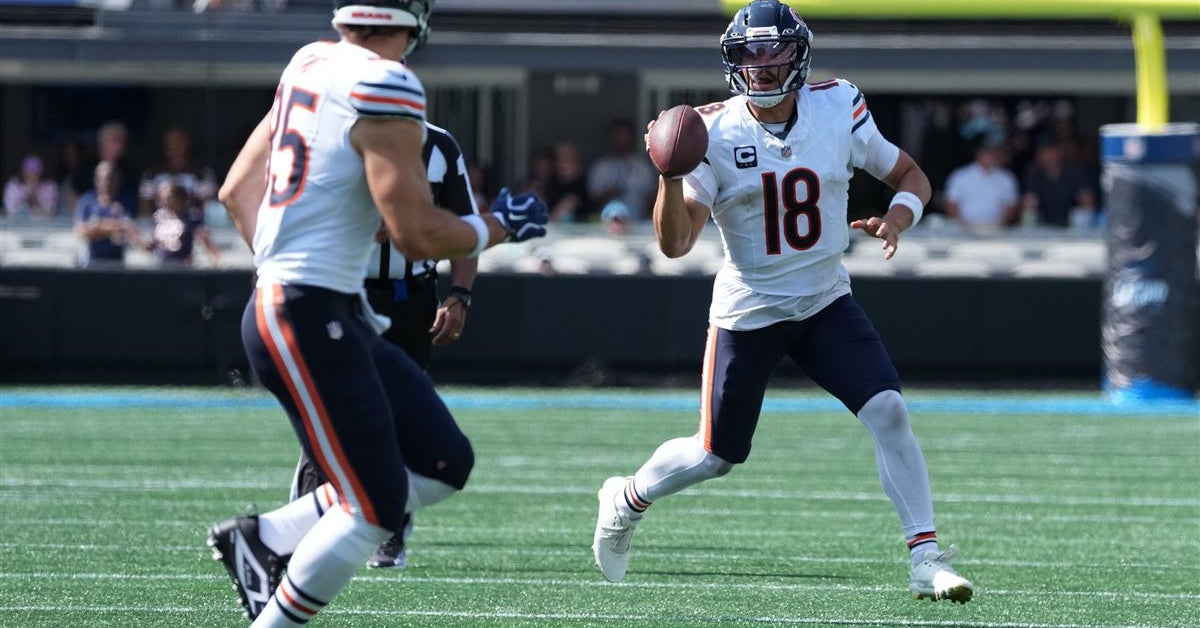 Chicago Bears vs Carolina Panthers: Winners and losers from week one
