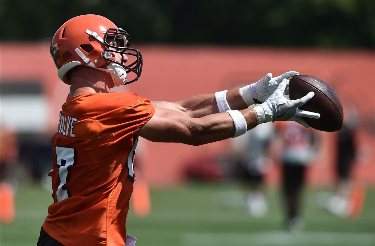 New Browns DC Thinks Myles Garrett 'Going To Learn And Grow' From  Helmet-Swinging Incident - Steelers Depot