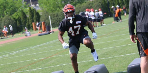 Chris Worley Promoted to the Cincinnati Bengals Active Roster From the  Practice Squad