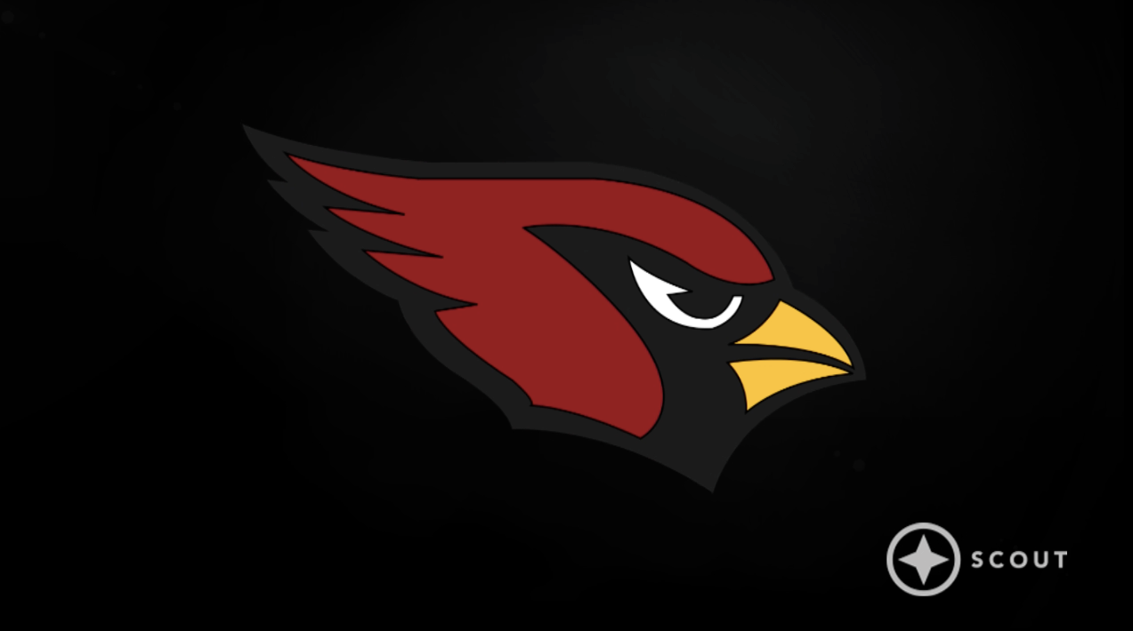  Hybrid Sports NFL - Arizona Cardinals - Logo and Stats