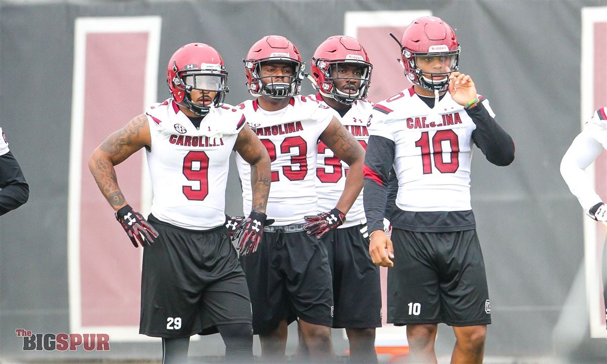 Former Gamecock Keisean Nixon Impressing, Representing South Carolina  Football - Sports Illustrated South Carolina Gamecocks News, Analysis and  More