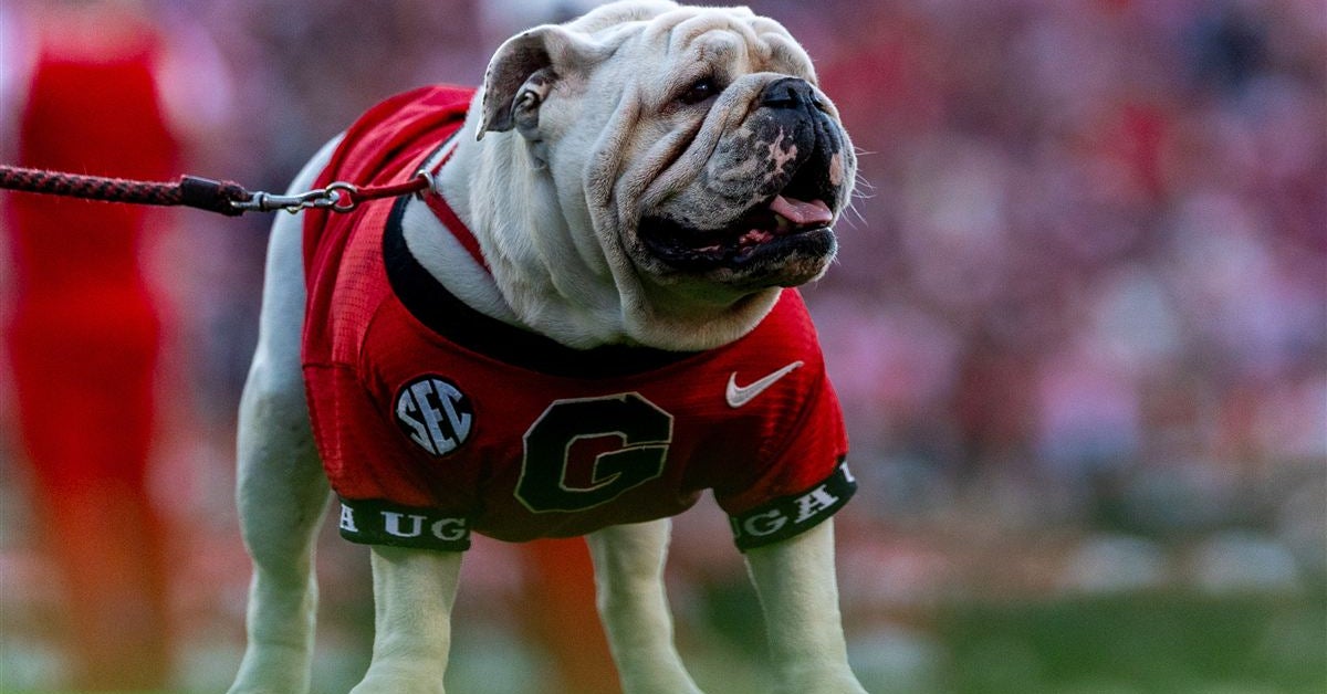 AP Top 25 after Week 8 has the Georgia Bulldogs ranked No. 3