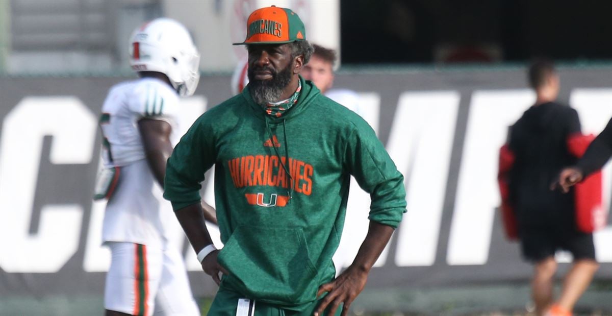 Ed Reed Miami Highlights 