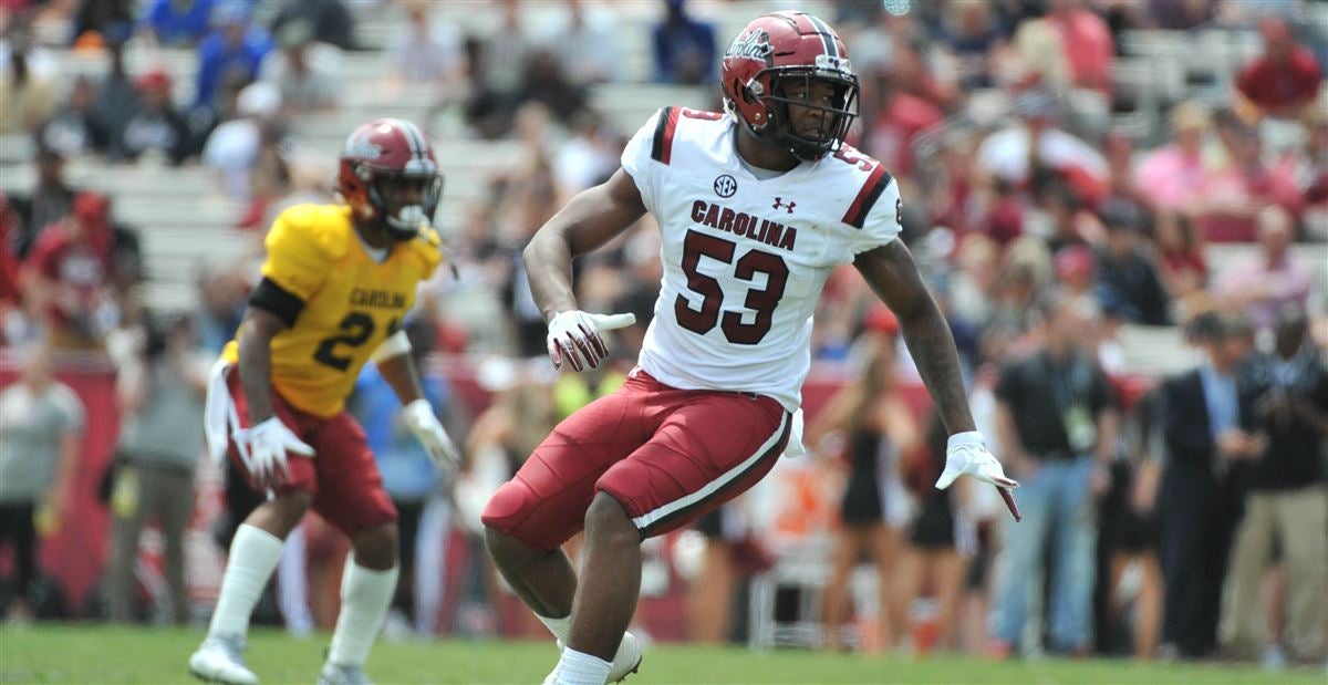 Gamecock Scoop What are the biggest concerns?