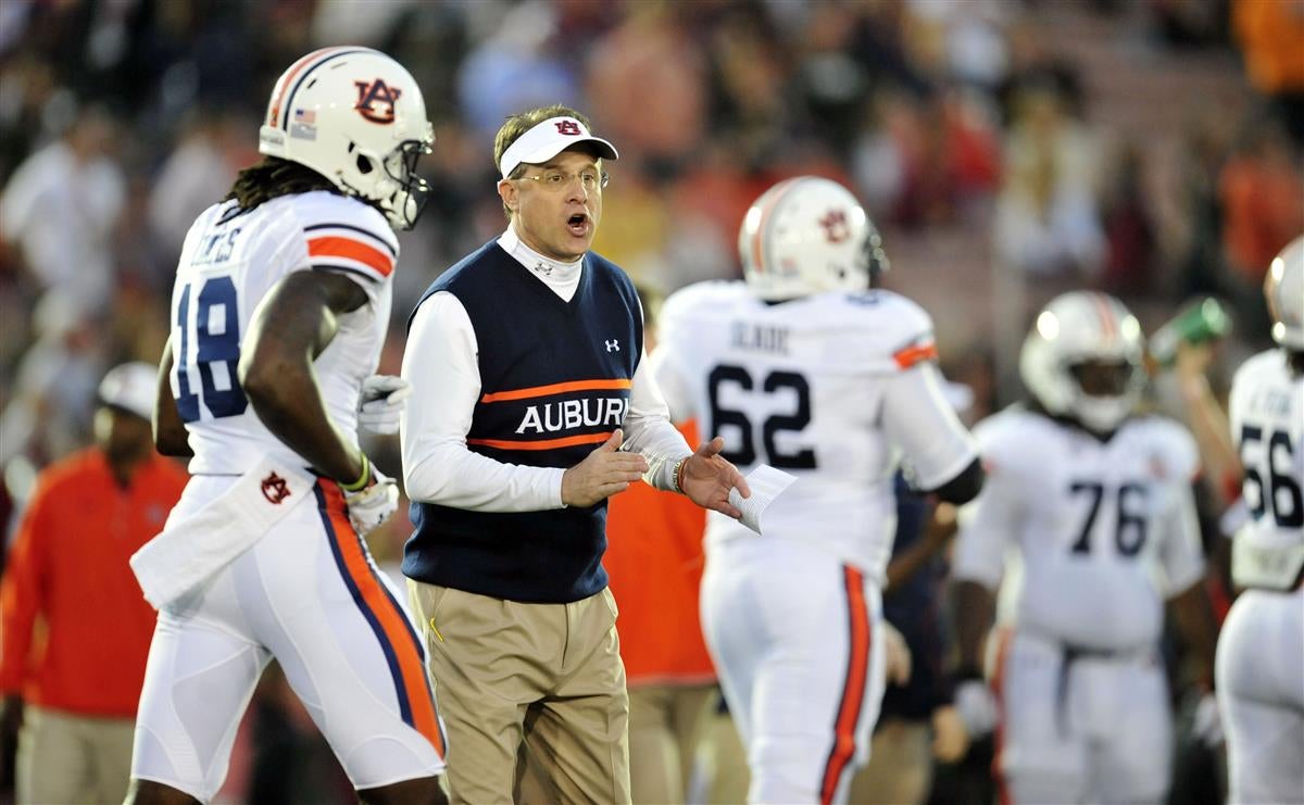 gus malzahn sweater vest