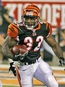 rudi johnson bengals