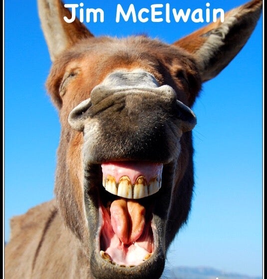 Image result for jim mcelwain donkey