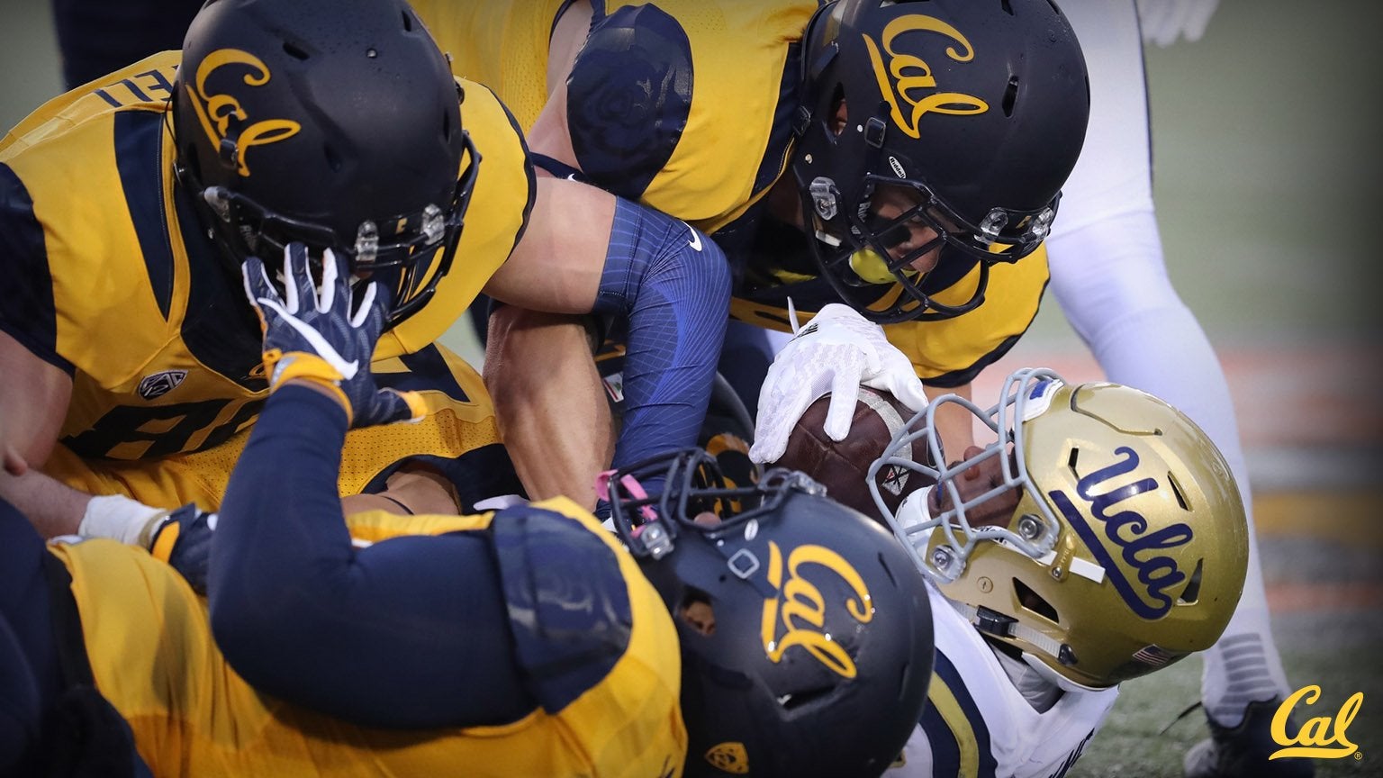 Cal vs. Washington State Football, Live Fan Chat: Bears down 9-14