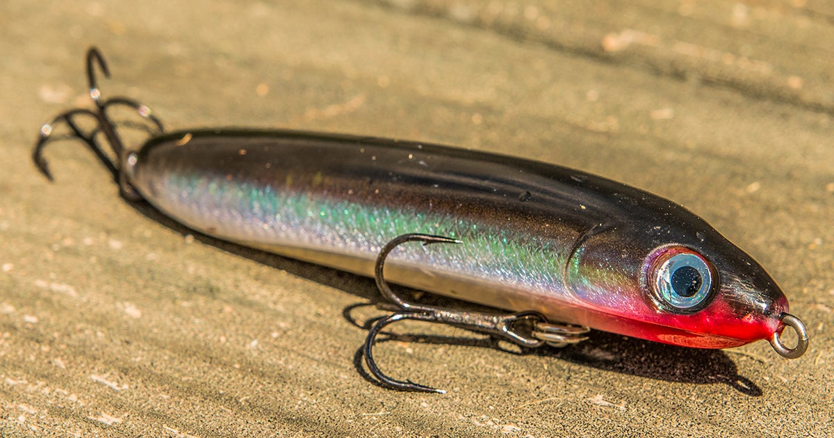 First Look Rapala Skitter V Topwater Lure