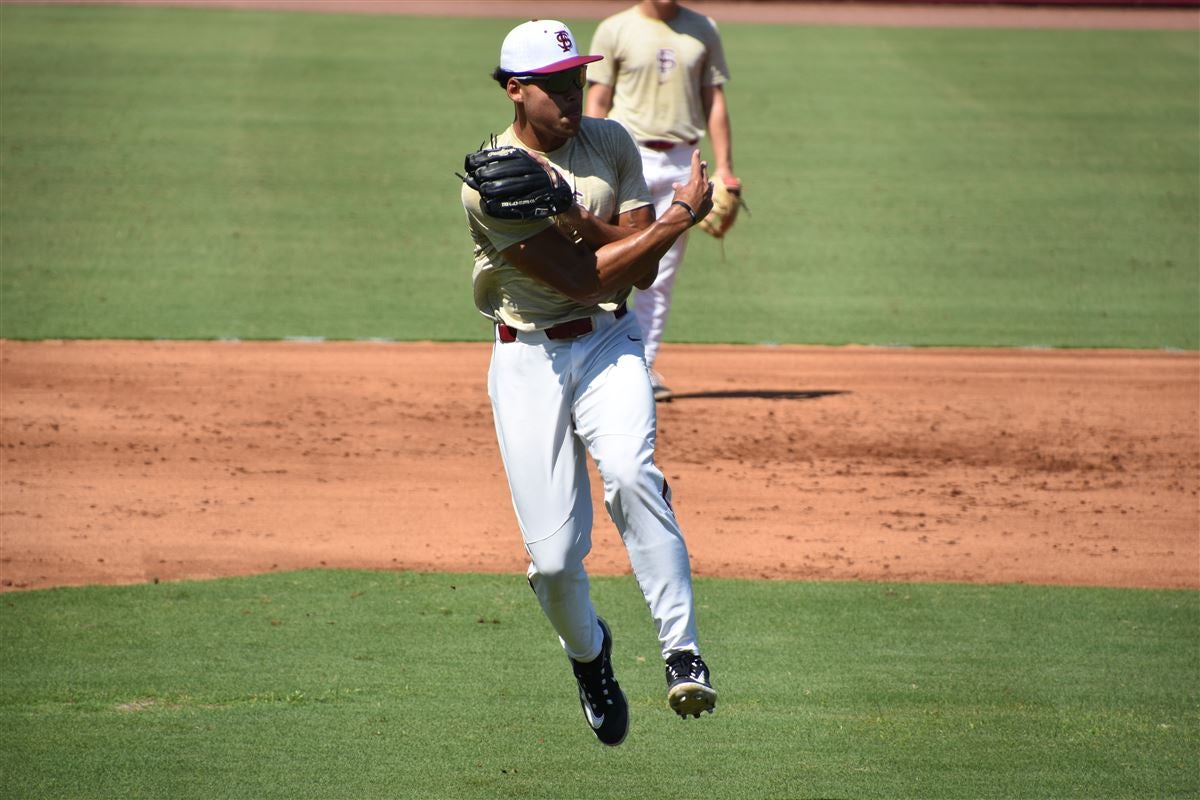 Florida State Seminoles Baseball in Summer Leagues