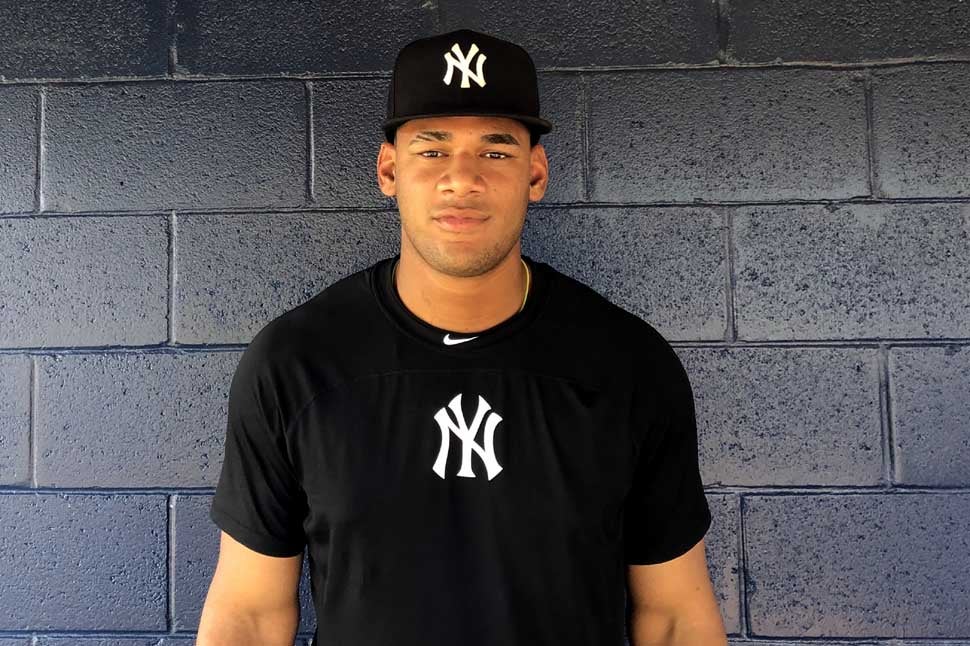 Reviewing The 2017 Yankees International Signing Class