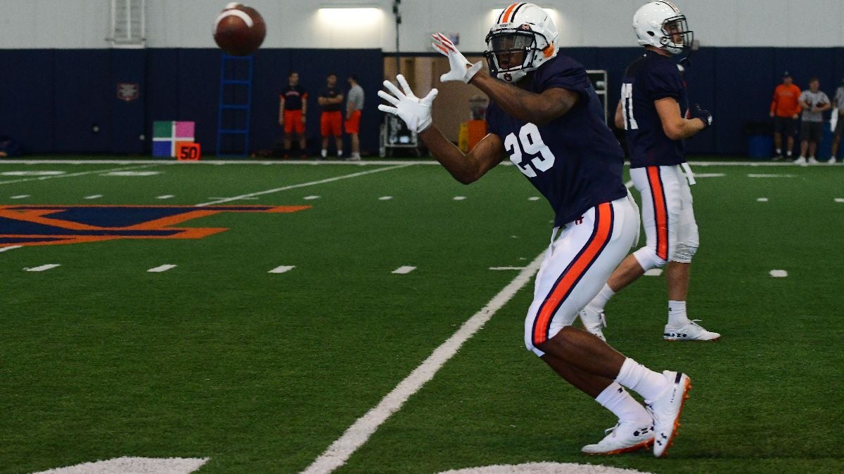 Auburn Freshman Named 'Bo' Wrecked The College Football Playoff in