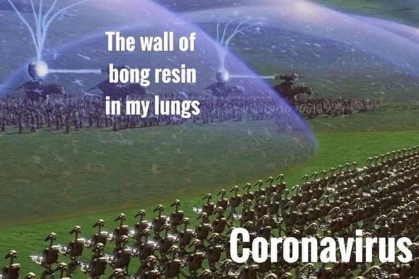 10851834.jpeg