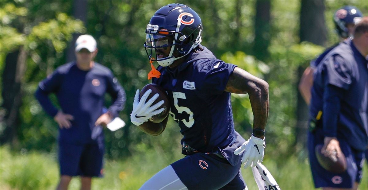 Javon Wims: Chicago Bears wide receiver suspended for two games