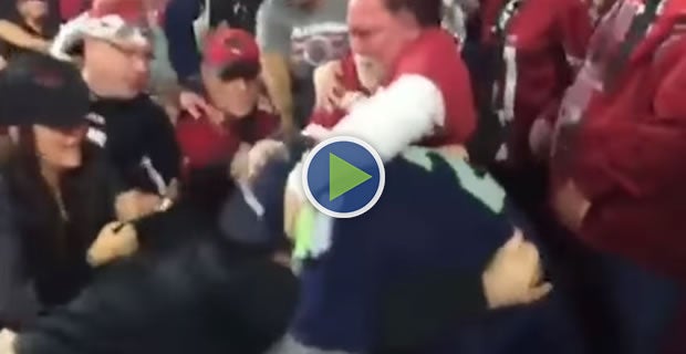 Lone Seattle Seahawks fan injured after fight breaks out at Arizona  Cardinals-Green Bay Packers game – New York Daily News