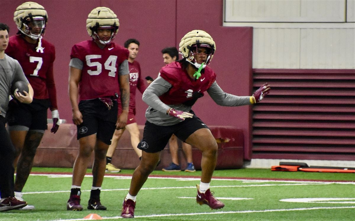 Fsu 247sports online