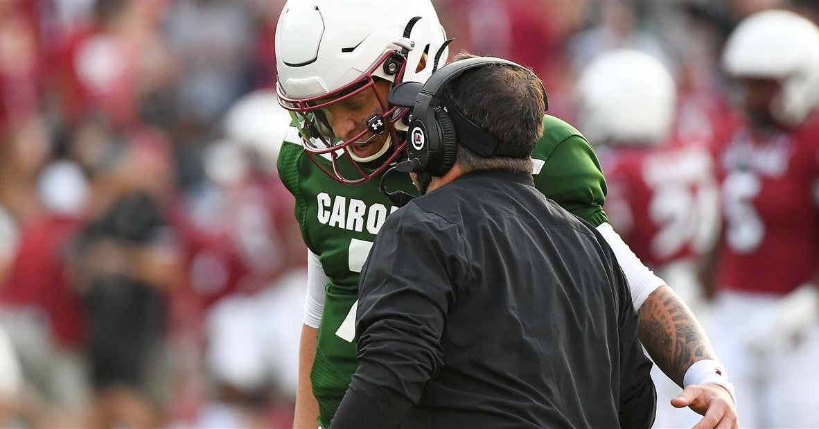 Loggains gives Rattler complete control at the line