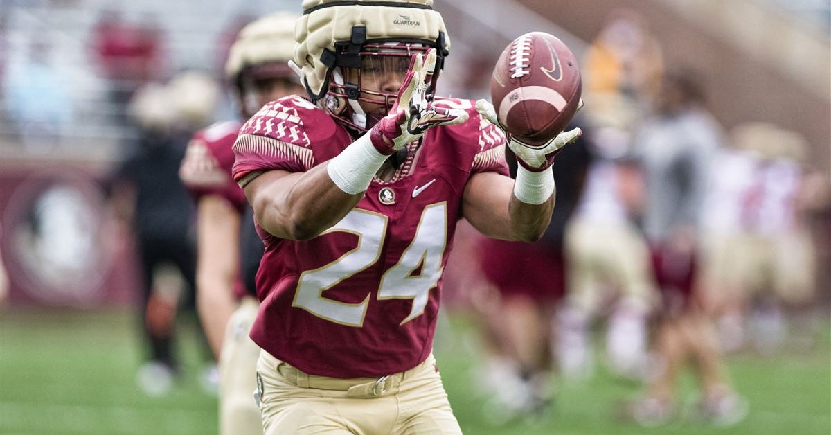 Florida State transfer Jadarius Green-McKnight commits to Herd