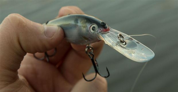 Strike King Pro Model Lucky Shad Review