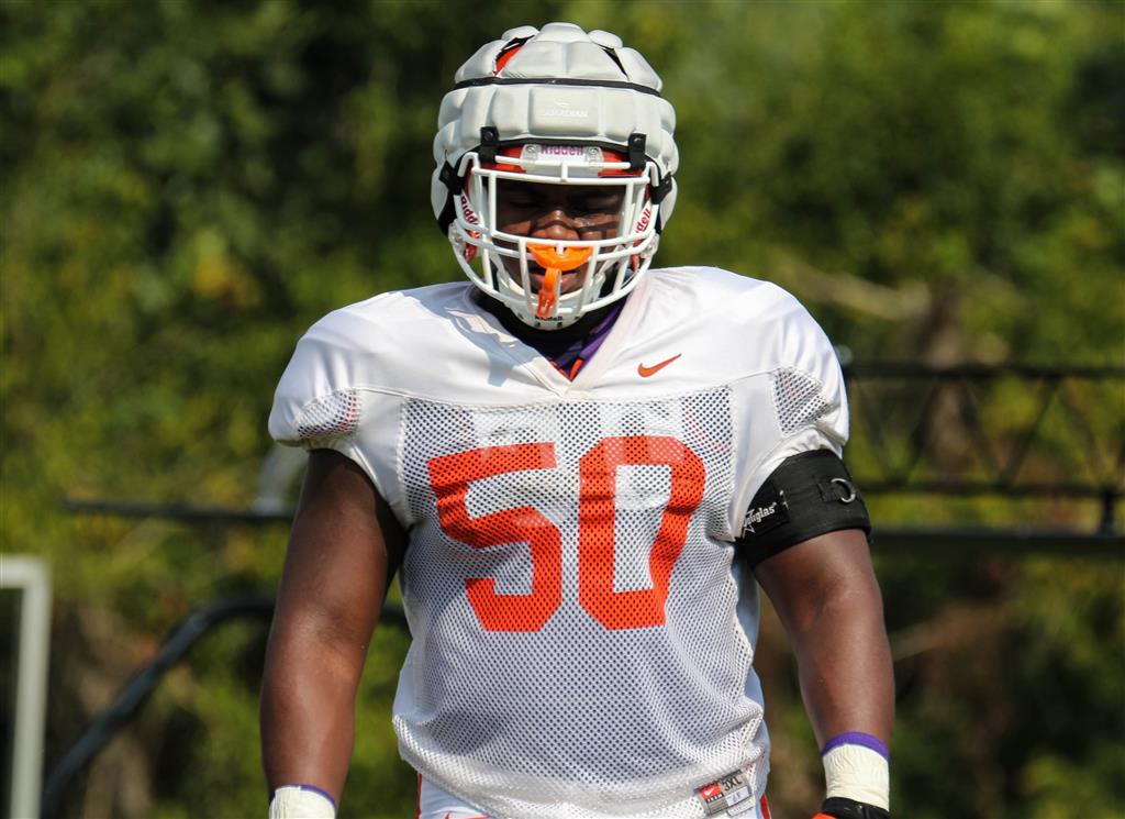 Grady Jarrett Clemson - ABC Columbia