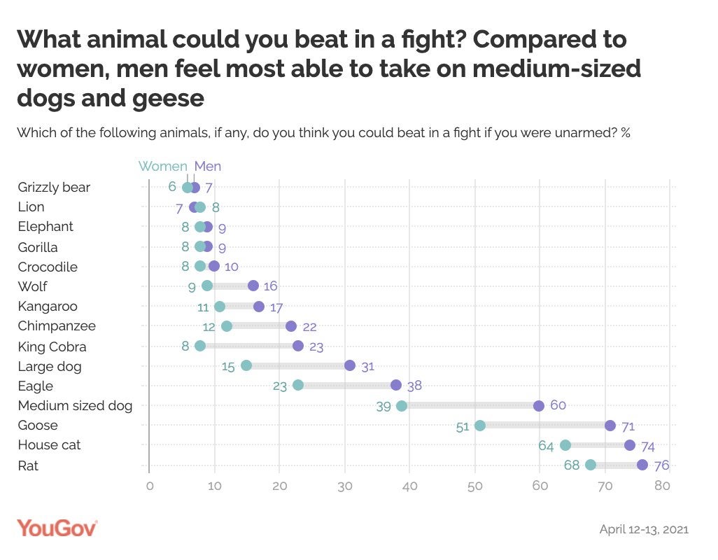 What animal could you beat in a fight?