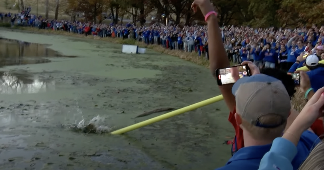 WATCH Kansas fans tear down goalpost, place it in Potter Lake after