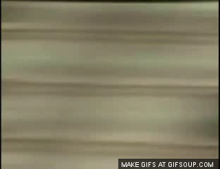 [Obrazek: 2869868.gif]