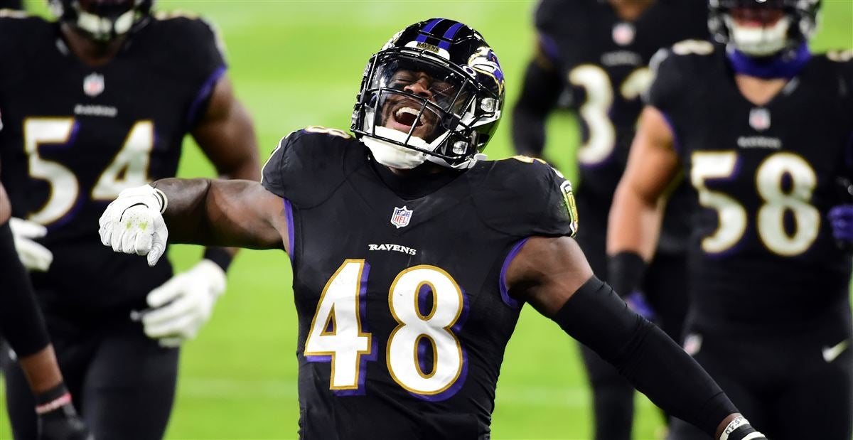 Baltimore Ravens linebacker Patrick Queen (6) surveys the play