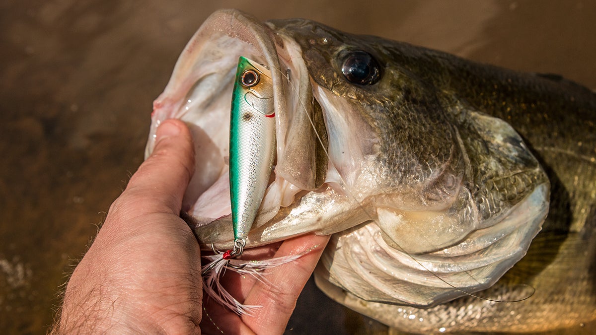 5 Spring Topwater Lures Every Angler Needs