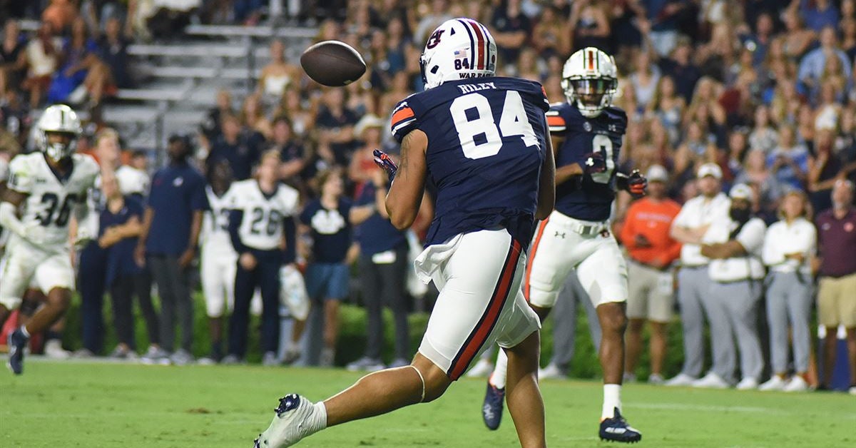 What can transfer tight ends Nate Boerkircher and Micah Riley do for ...