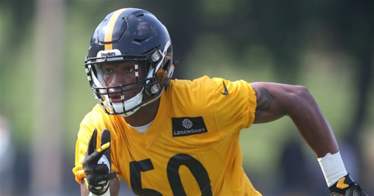 LB Ryan Shazier 'dominates' Steelers Sunday practice