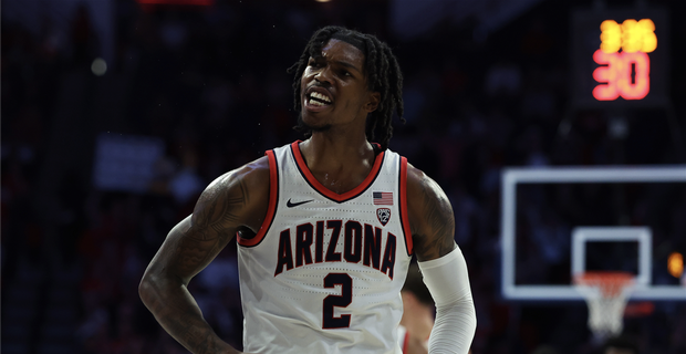 1999 arizona wildcats basketball roster sales