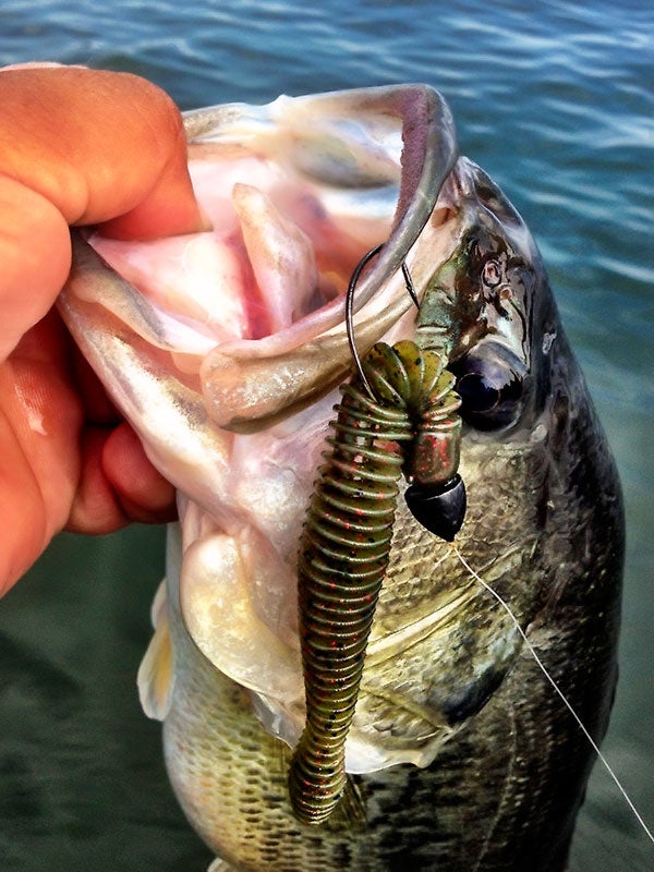 download big bite baits coontail worm