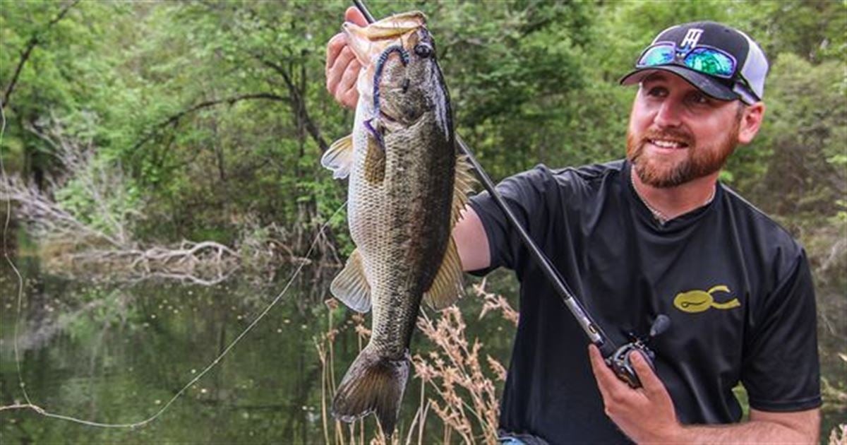 3 Worms to Bass Fish from the Bank