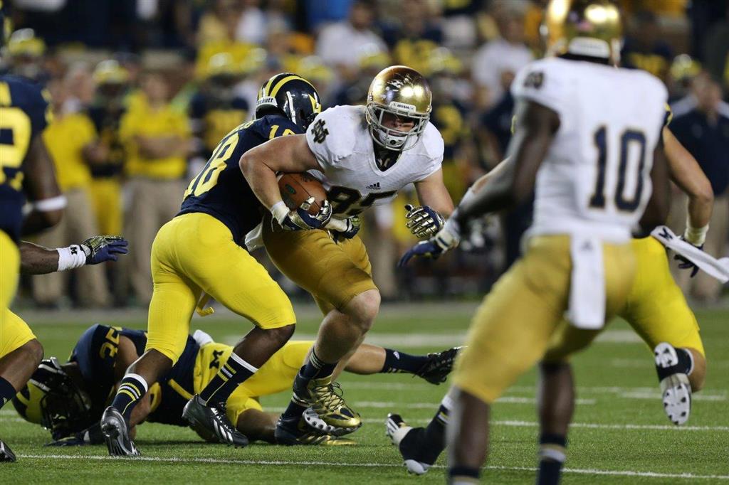 Irish In The NFL: Troy Niklas Could Revive Career In New England