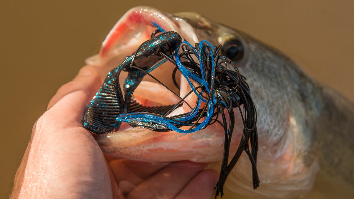 ZMan Batwingz Jig Trailer [Review]