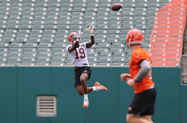 Cincinnati Bengals wide receiver Auden Tate (19) during the first