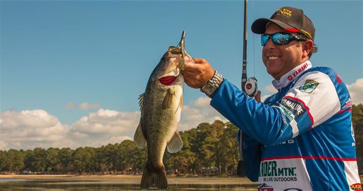 10 Ways To Catch More Bass From Grass