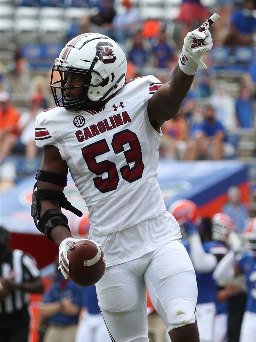 Ernest Jones, LB, South Carolina - NFL Draft Player Profile