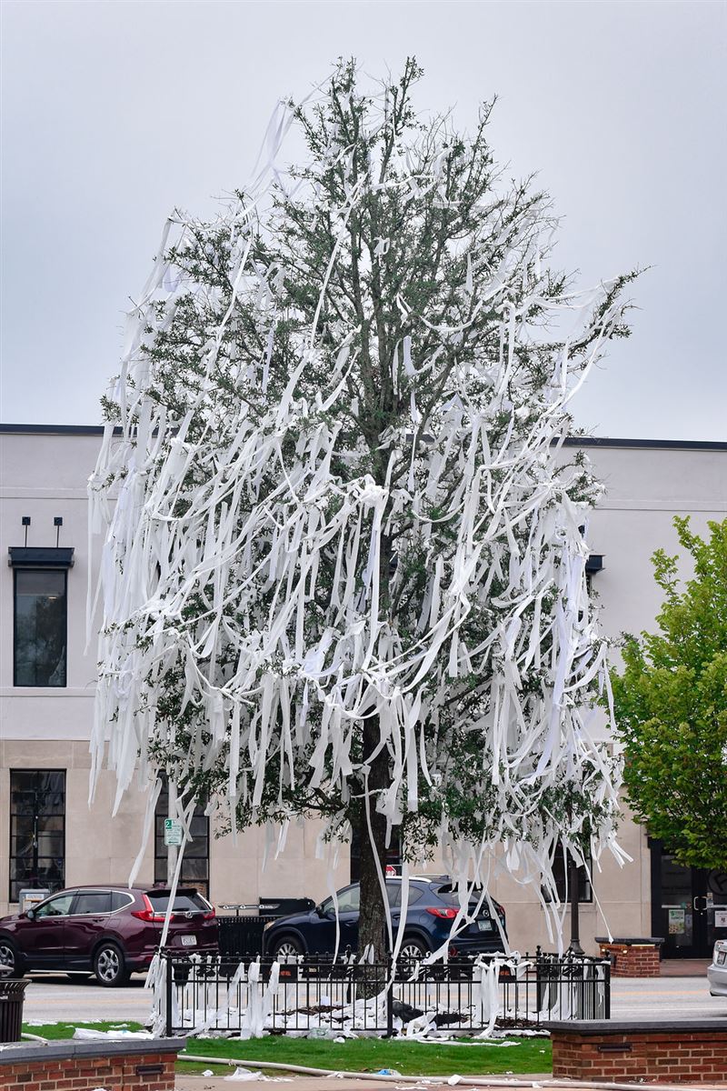 Photos, video: The scene at Toomer's Corner during, after win