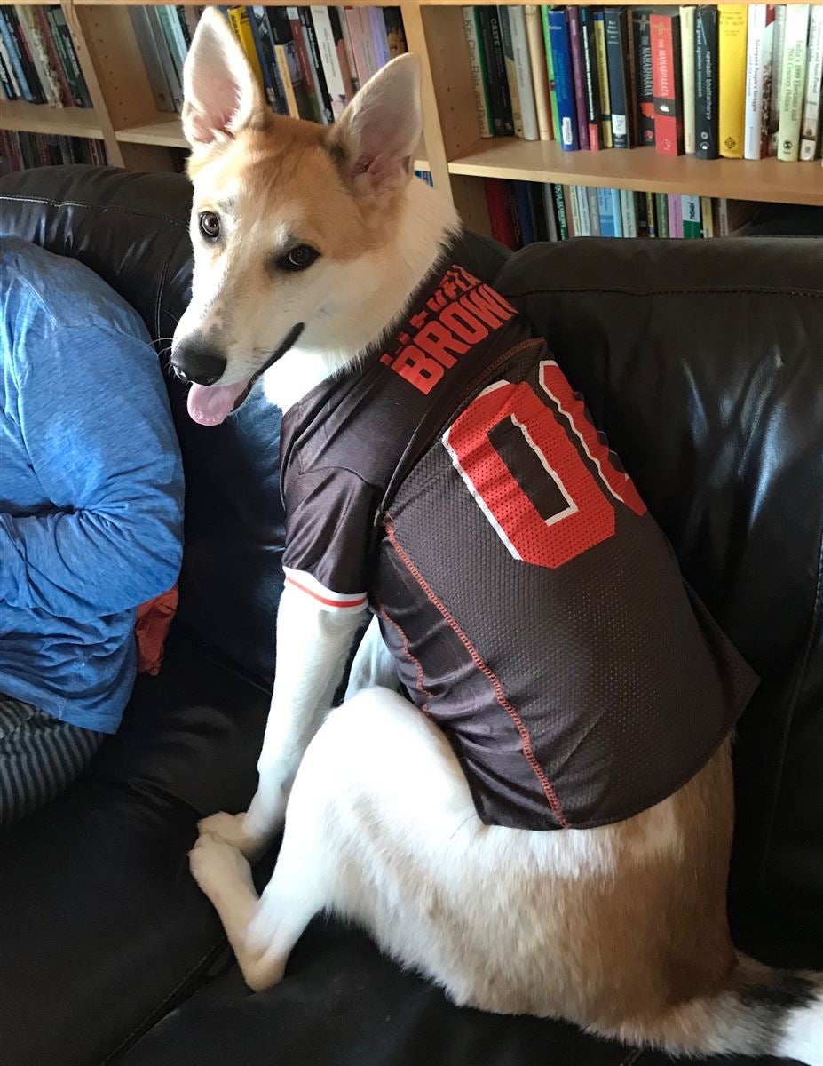 Amari cooper hotsell dog jersey