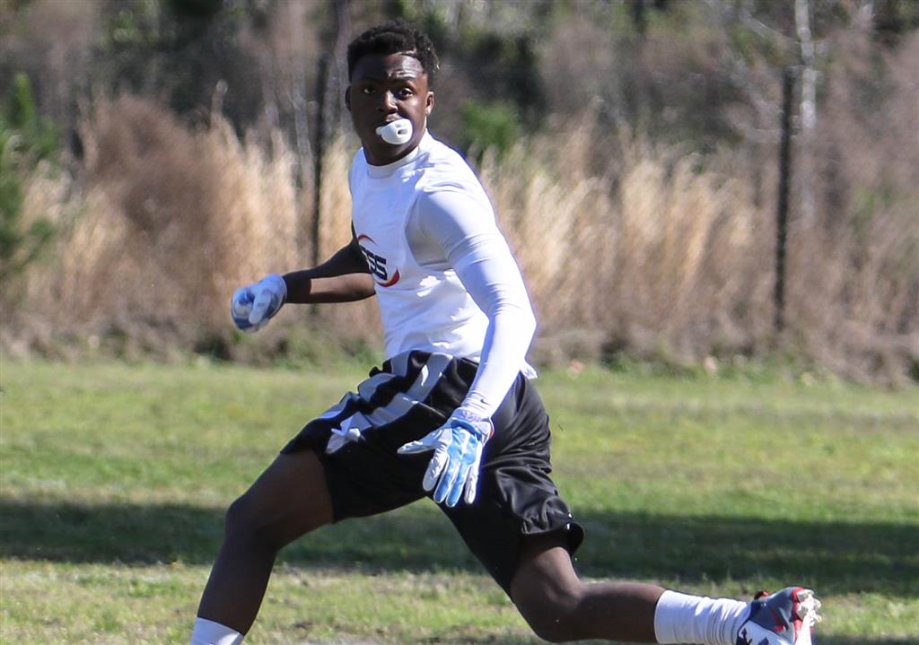 Gamecock Scoop impressing and more