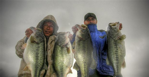 Land Your Biggest Bass with Big Swimbaits