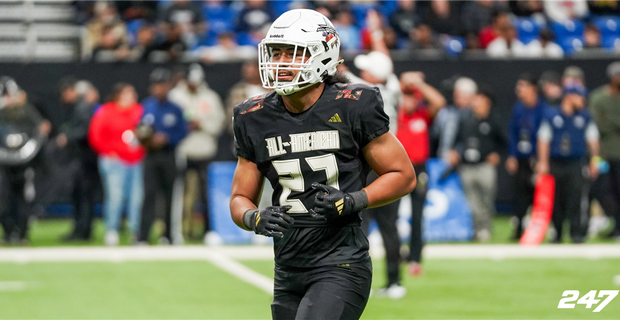 Daxton hill 247 sales