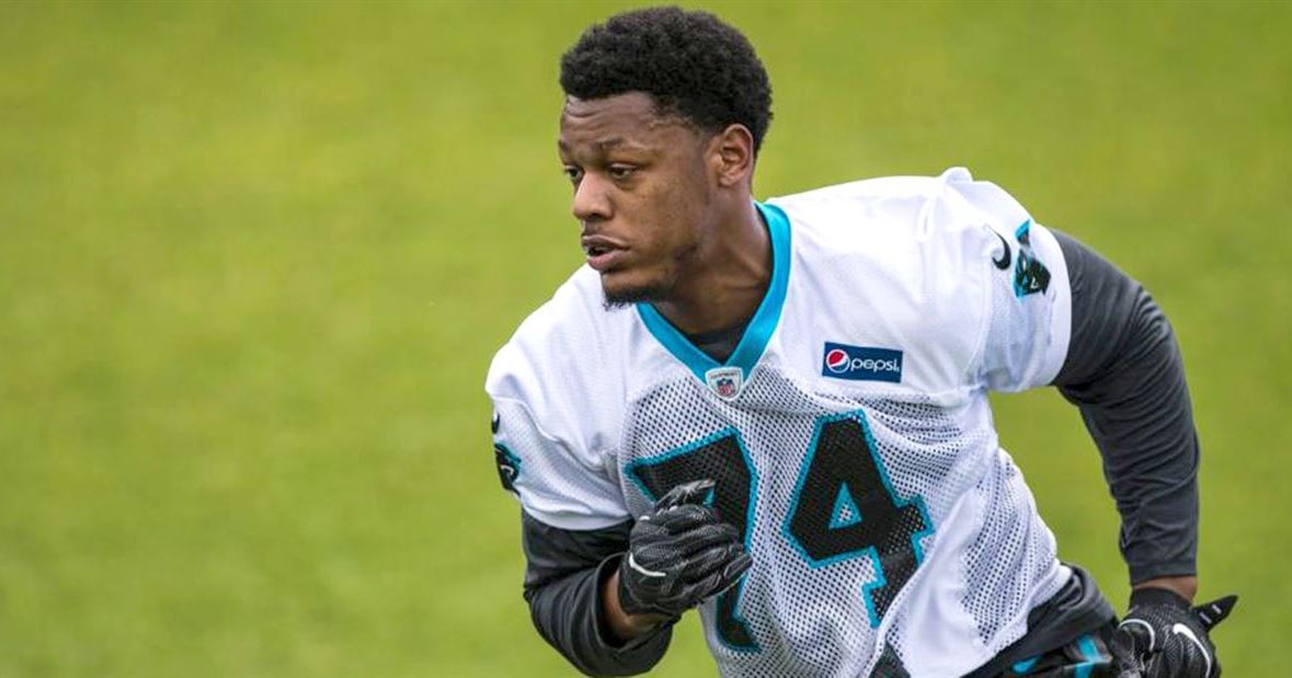 How much will Daeshon Hall, Corn Elder contribute in 2017?