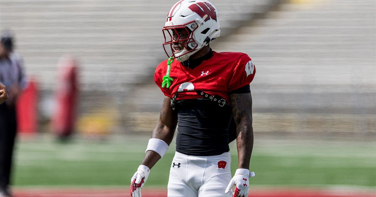 Wisconsin Football: Impact transfers on defense