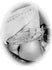 EasternNCstyleBBQueWolf avatar